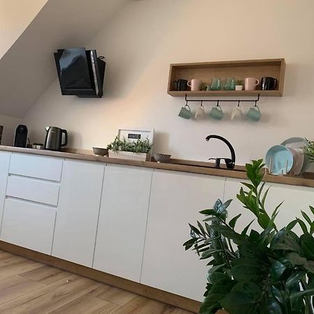 Szepty Mansardy Apartment Torun Exterior photo